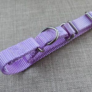 Country Brook Petz Dog Collar Lilac Purple Heavy Duty Nylon Pet Collar NWOT
